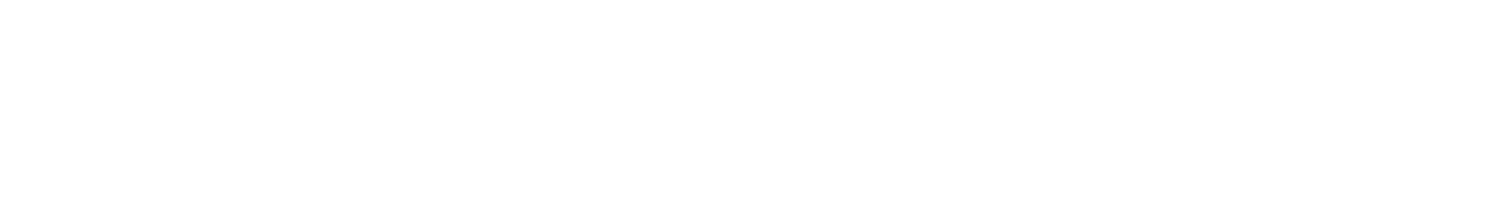 Logo IES